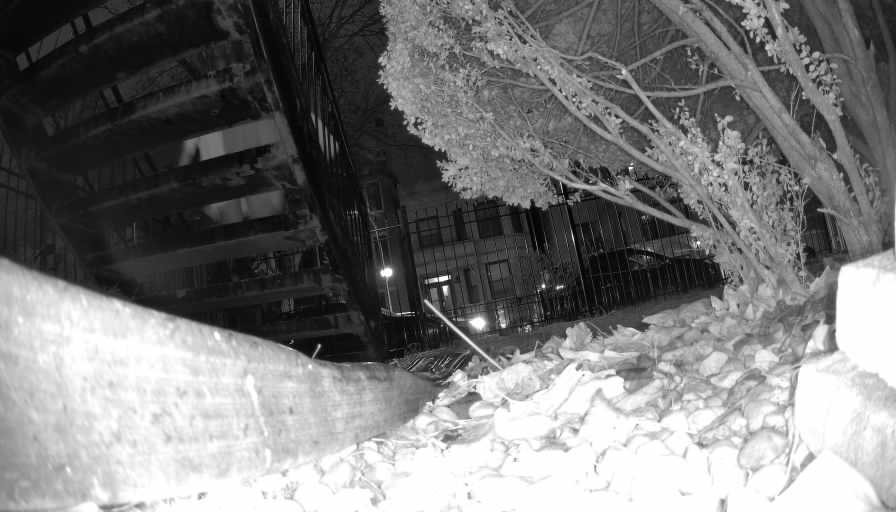 Reolink Camera Two_01_Reolink Home Hub One_20250112013703.jpg